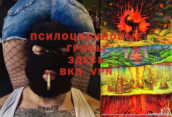 спиды Алексеевка