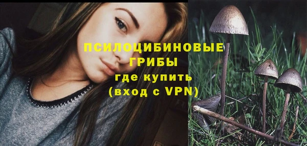 спиды Алексеевка
