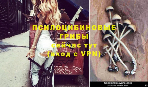 метадон Алзамай