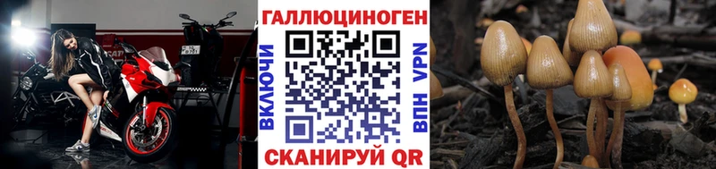 kraken как войти Набережные Челны Псилоцибиновые грибы мицелий