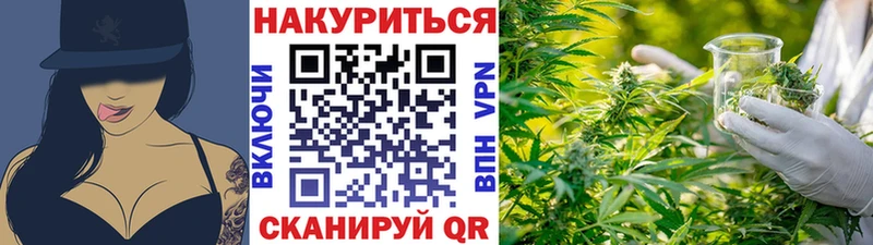 купить наркотики цена  Набережные Челны  Конопля сатива 